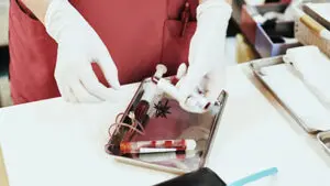 تصویر شماره 1 از گالری آزمایش BCR-ABL1 و نقش آن در تشخیص سرطان خون