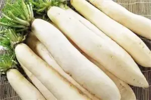 تصویر شماره 1 از گالری سبزی های سفید و خواص آنها برای سلامتی