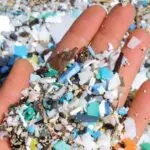 میکروپلاستیک چیست و از کجا وارد طبیعت می شود؟